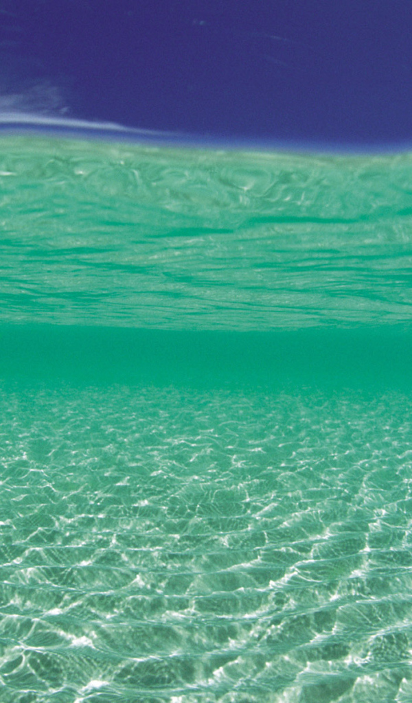 Лазурный берег