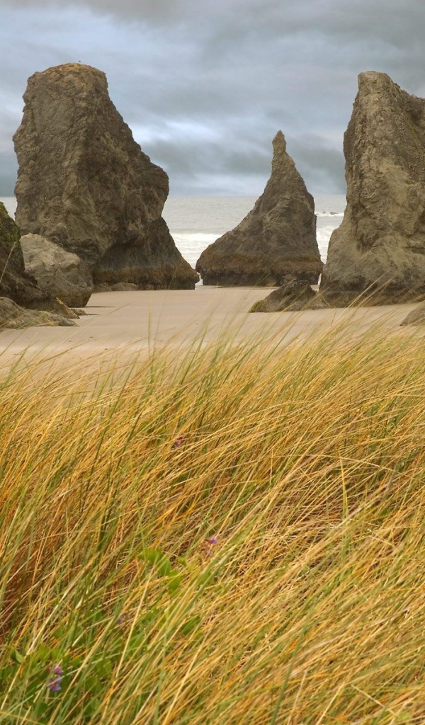 Пребрежные скалы