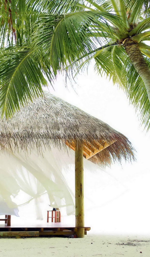 Беседка под пальмой