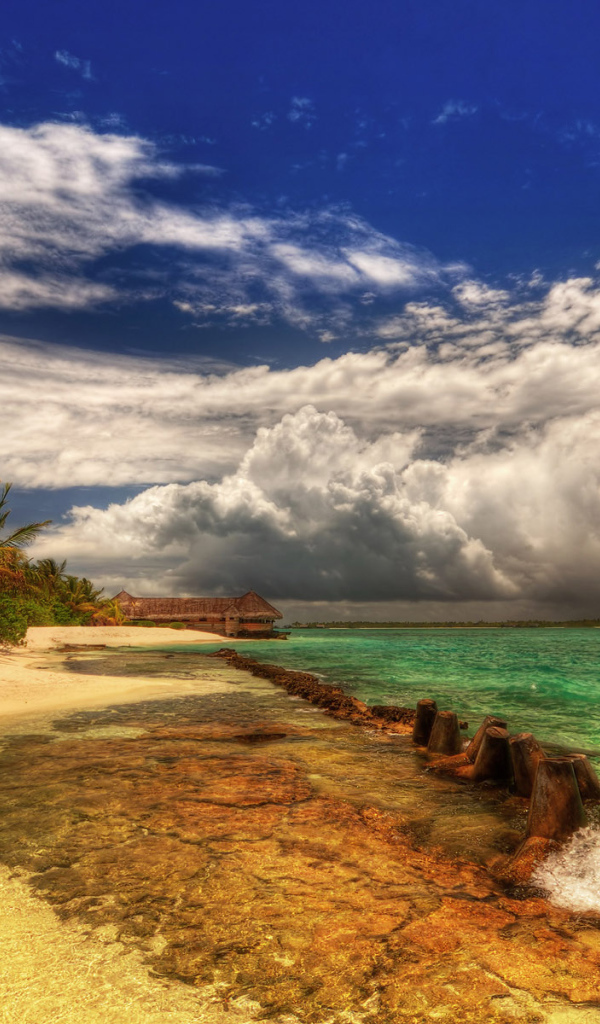 Земля обетованная