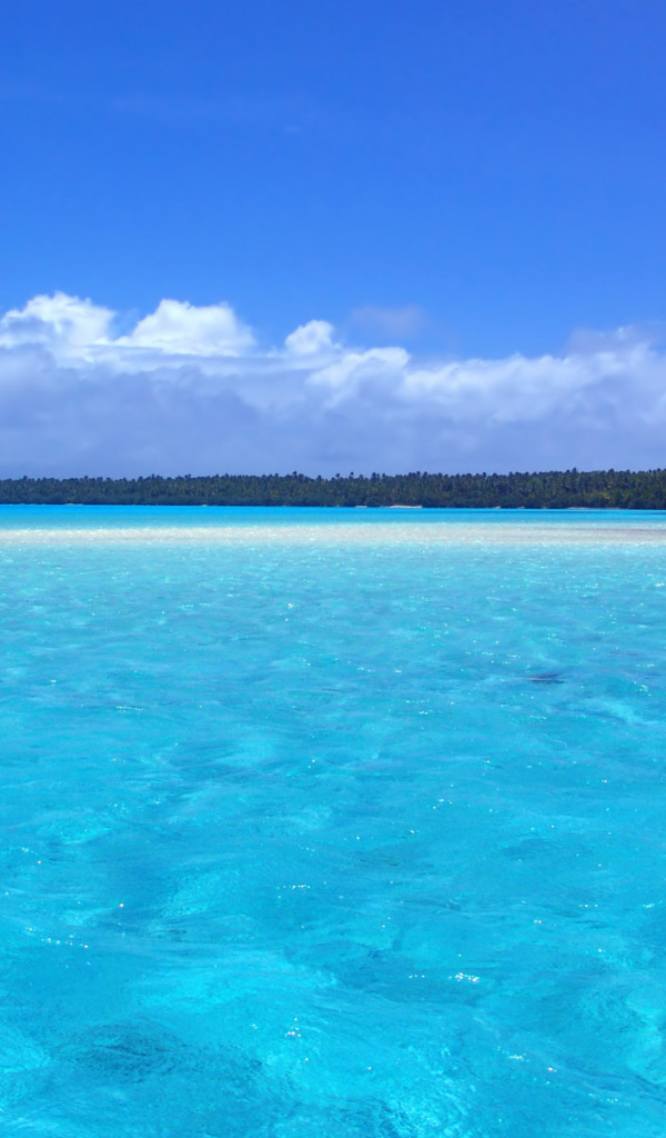 Отдых на берегу моря