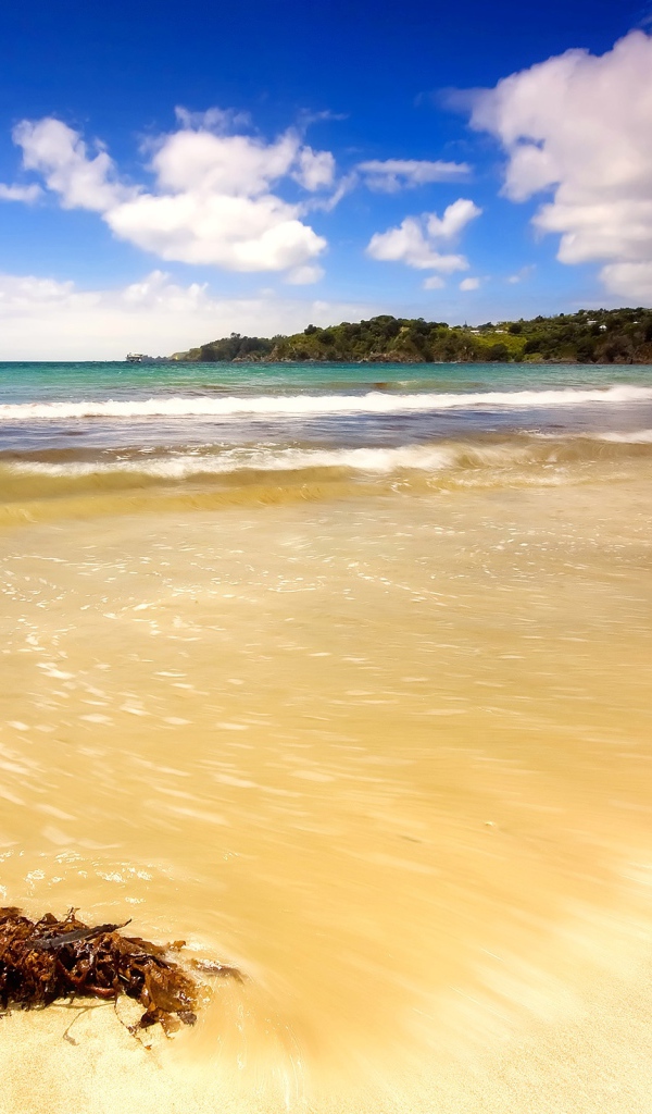 Летний день на пляже