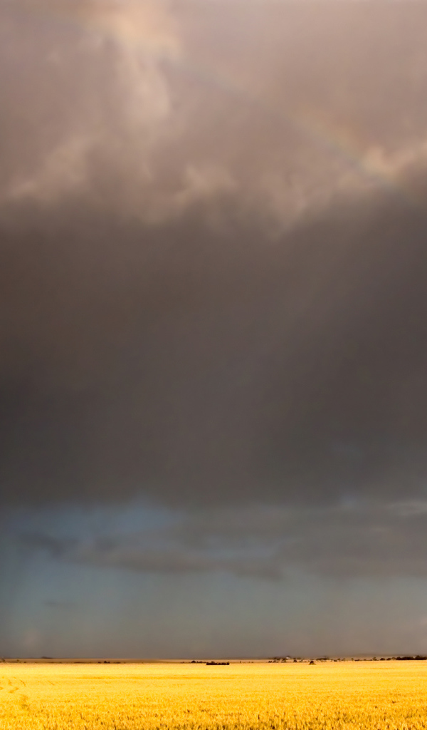 Радуга после дождя