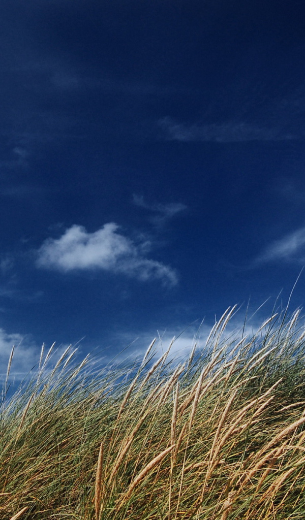 Голубое небо