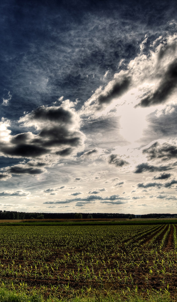 Синее небо HDR