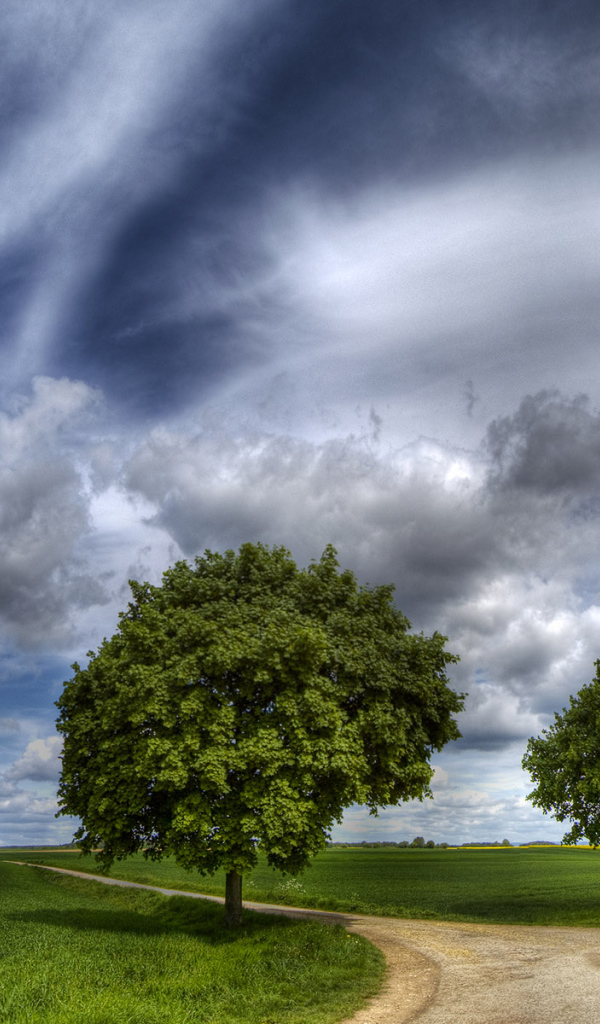 Шикарное небо