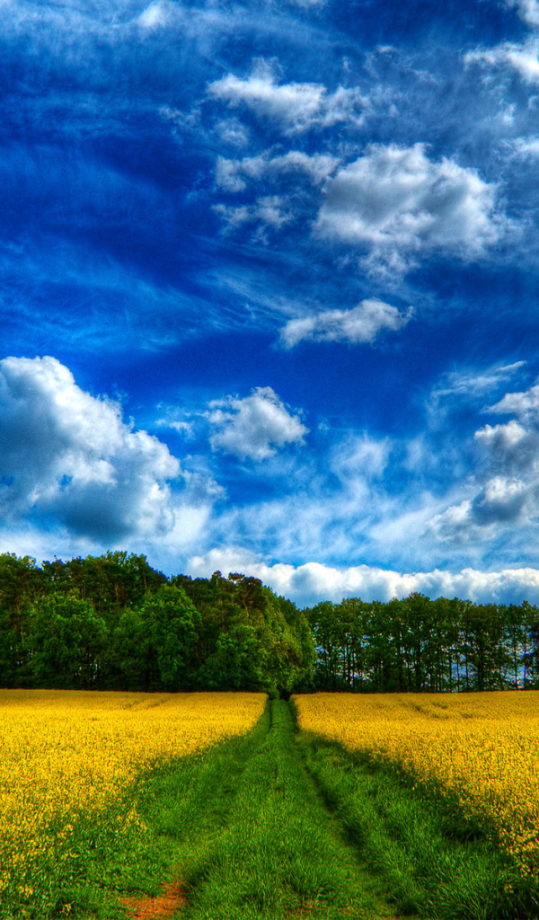 Сказочное небо