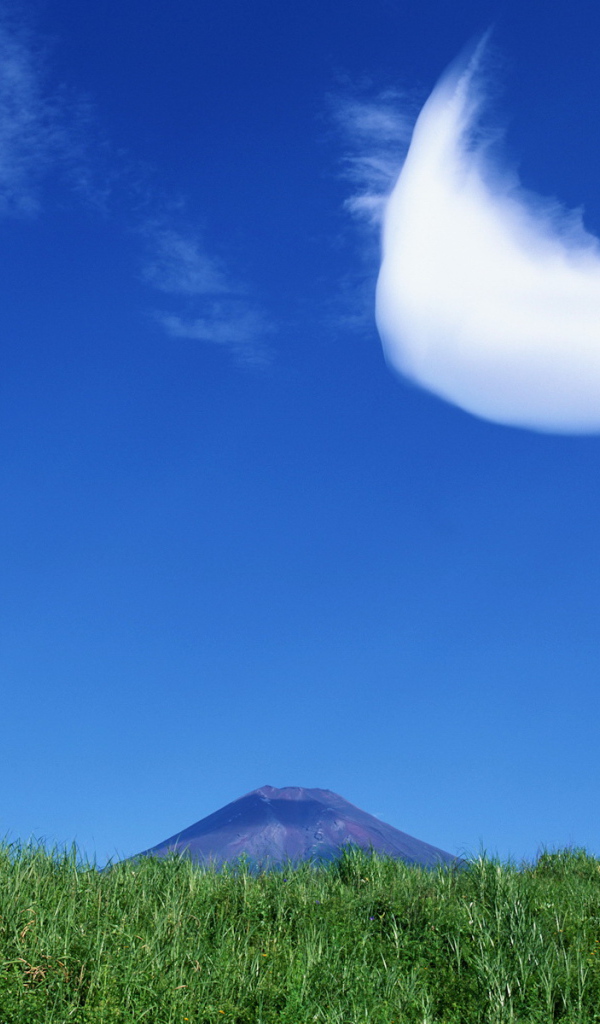 Интересное облако