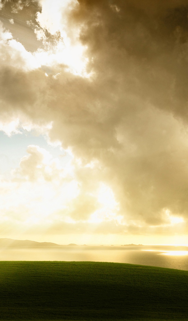 Приближающаяся буря