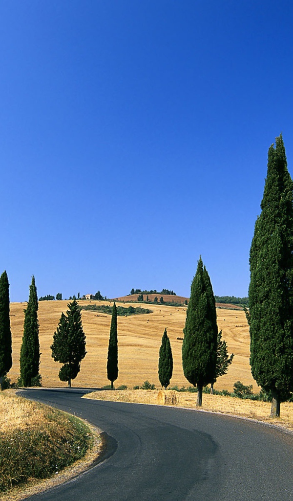 Деревенская дорога