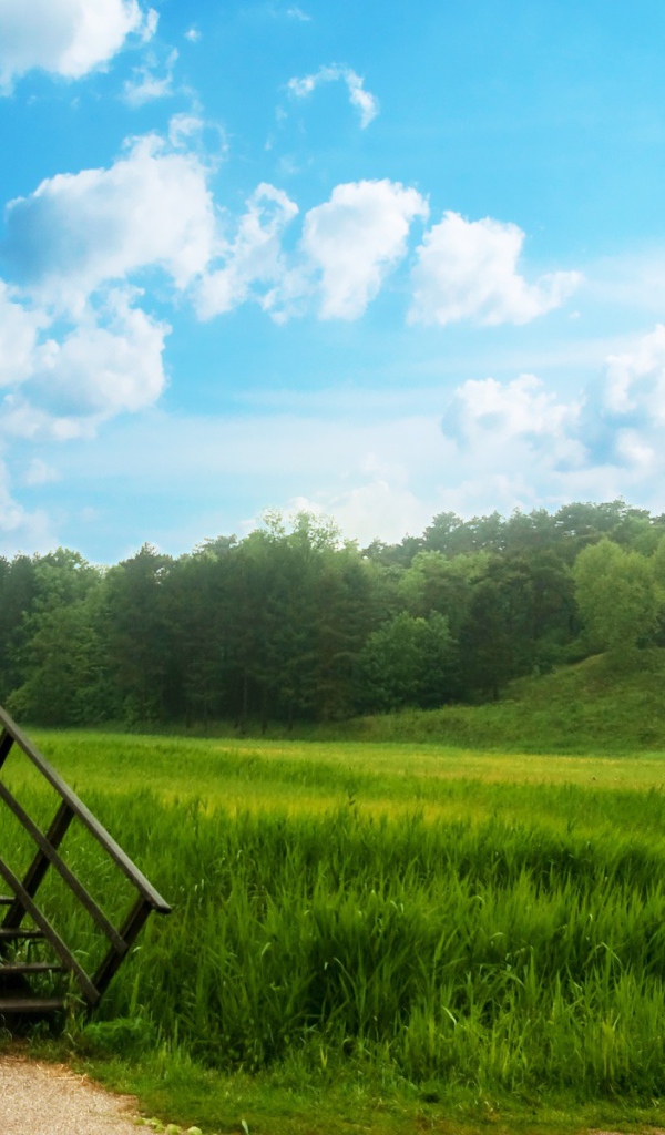 Зеленый мост