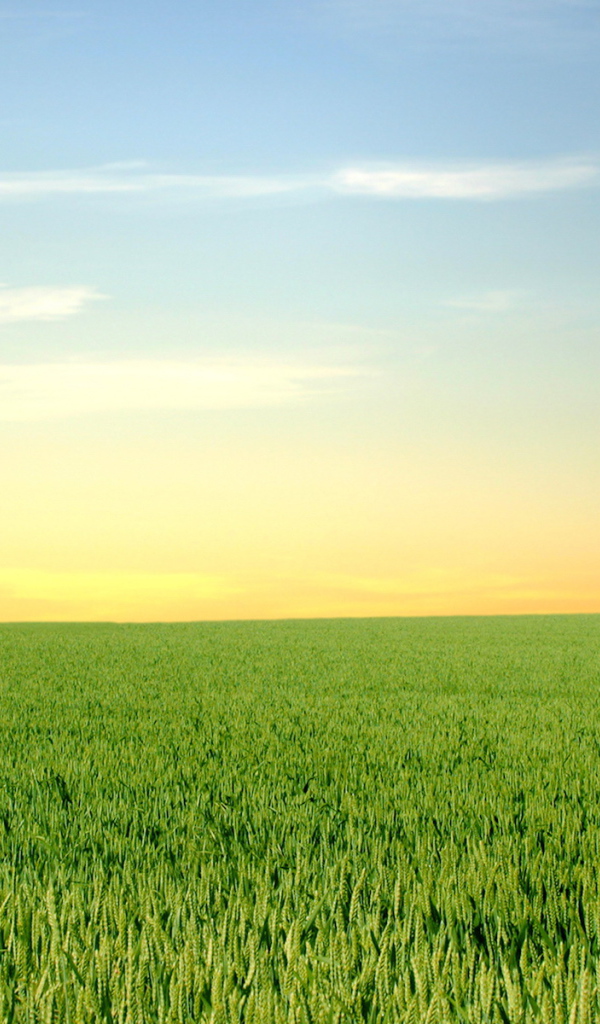 Зеленый горизонт