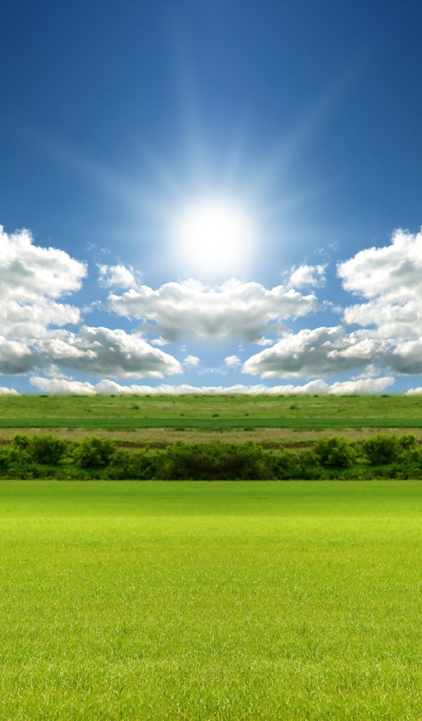 Зеленое поле под лазурным небом