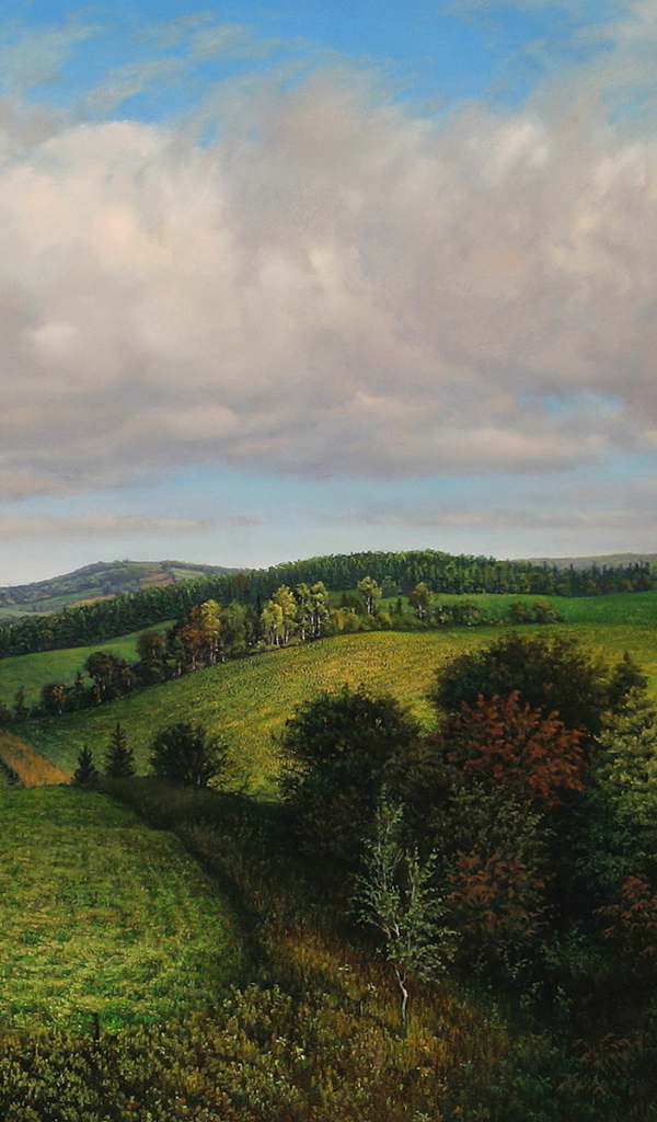 Летнее утро