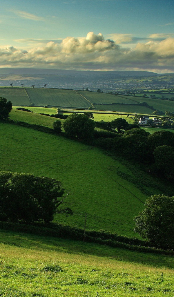 Деревенские поля