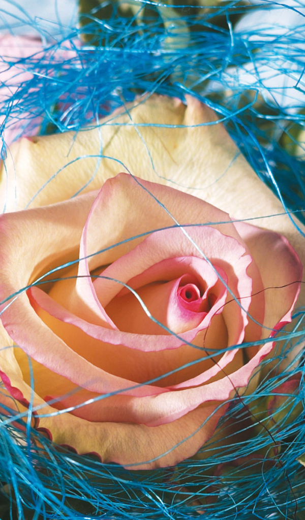 Украшенная роза