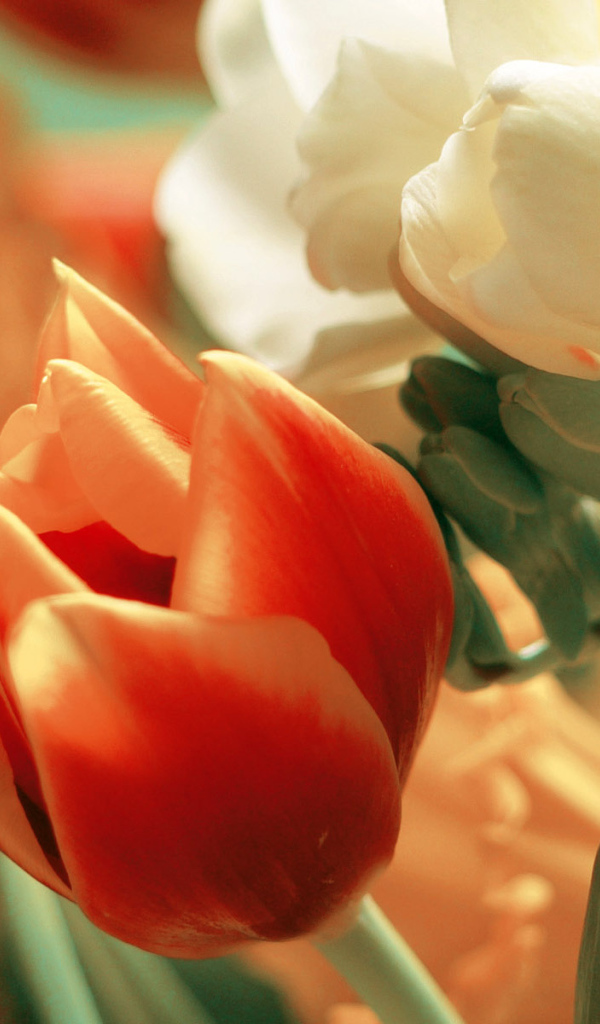 Восхитительные цветы