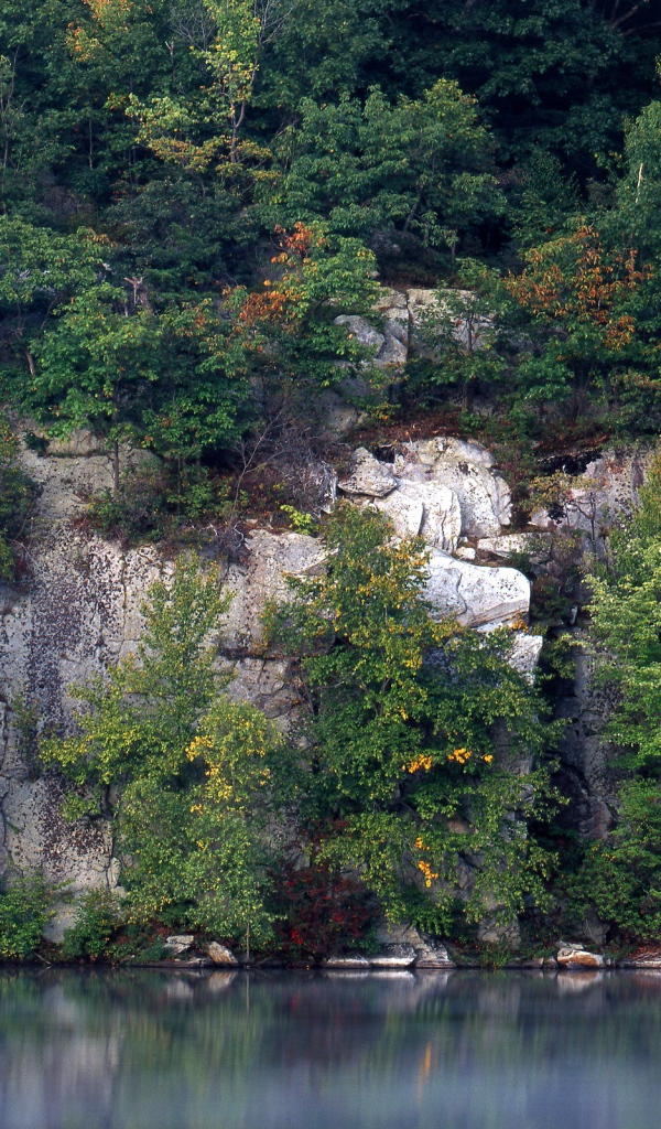 Зеленые скалы