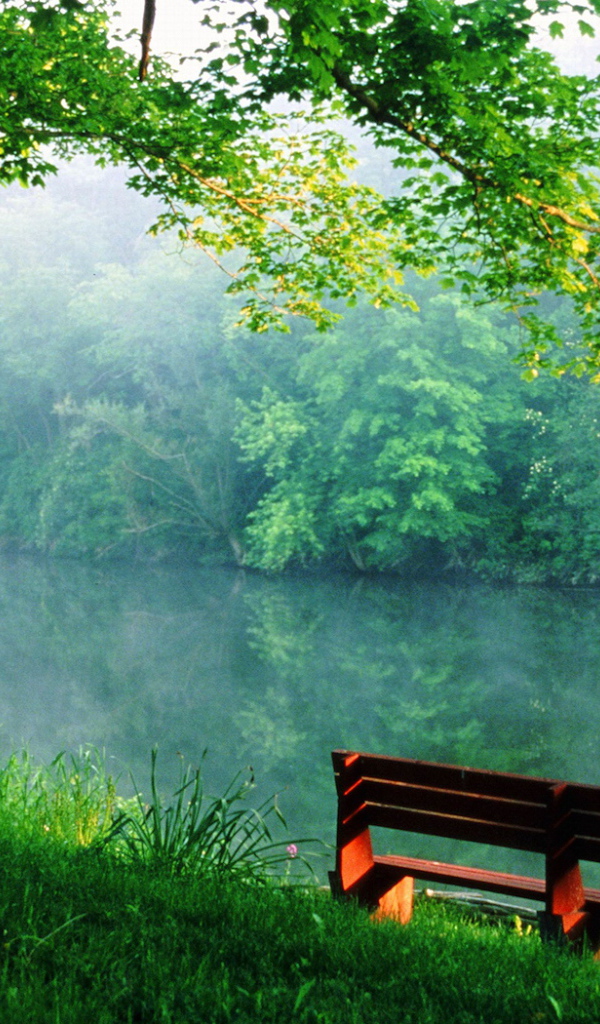 Тихое место у реки