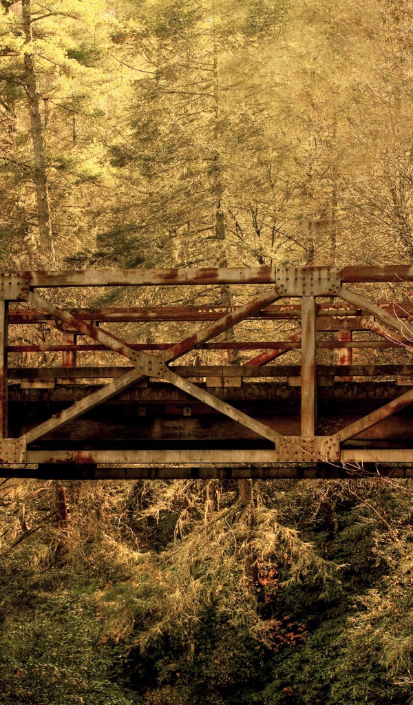 Железнодорожный мост в лесу