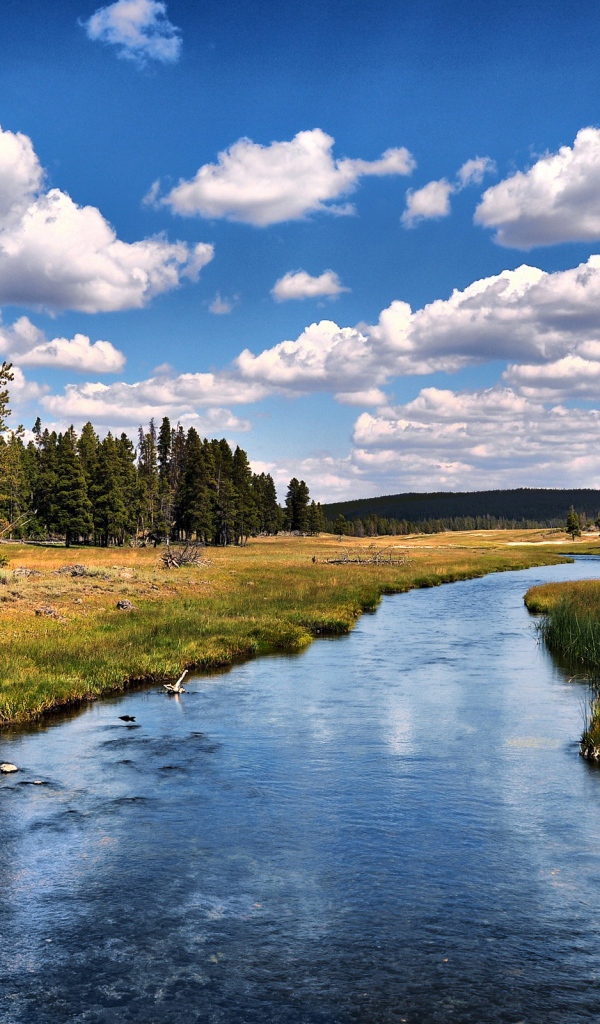 Река возле леса