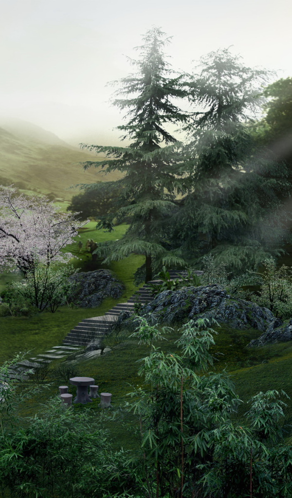 Дорожка в лес