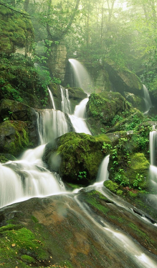 Тропический водопад