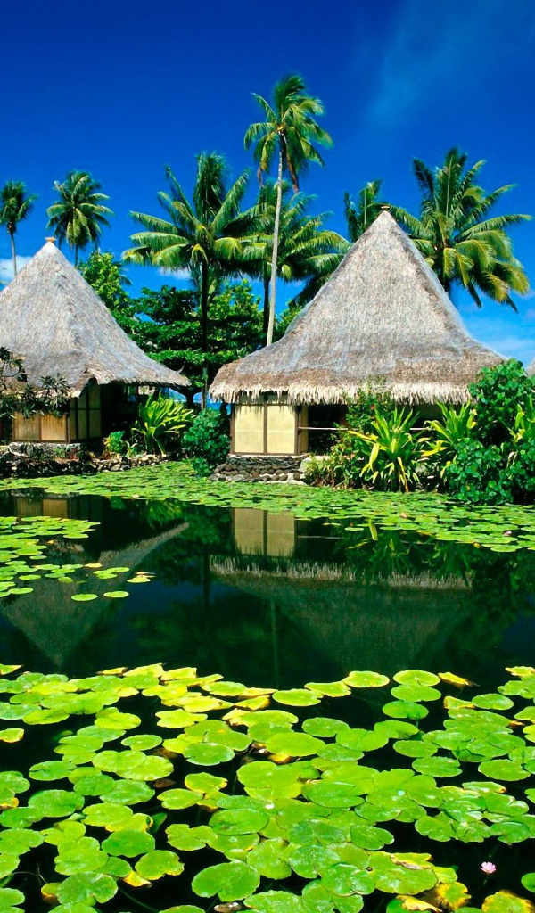 Рай на острове