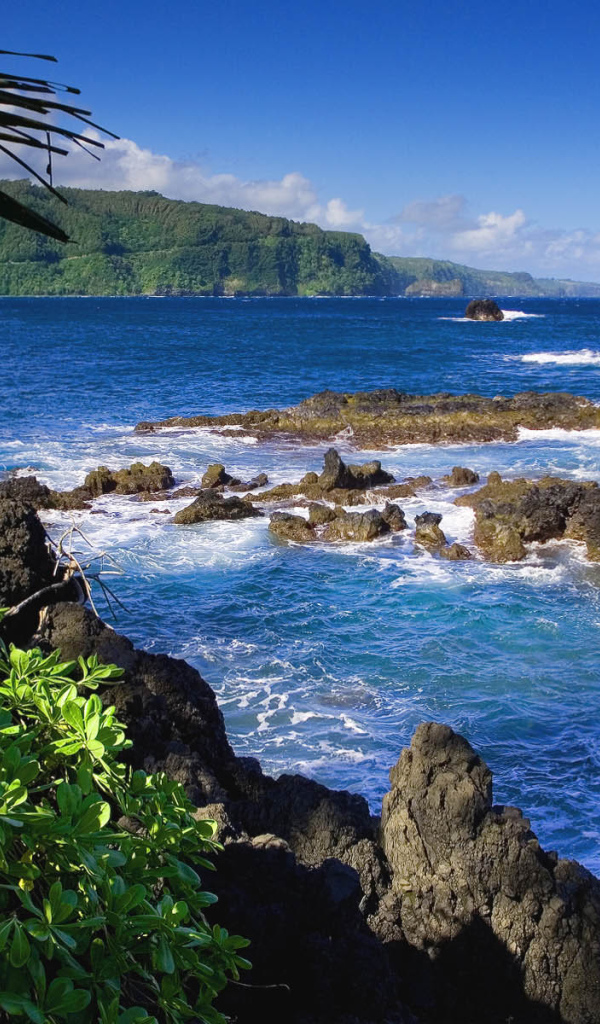 Рифы у райской земли