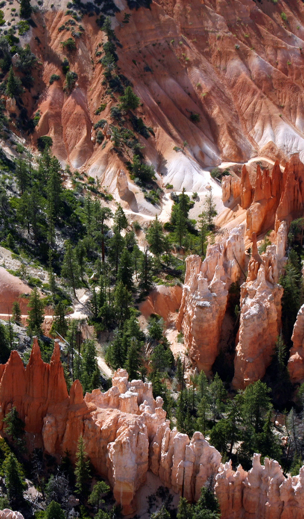 Восхитительный вид на Брайс-Каньон