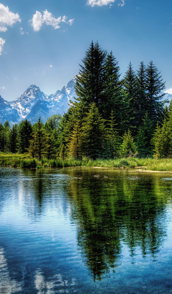 Чистое озеро