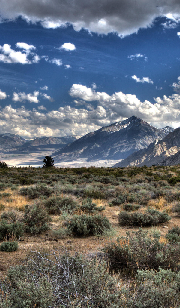 Пустынная долина