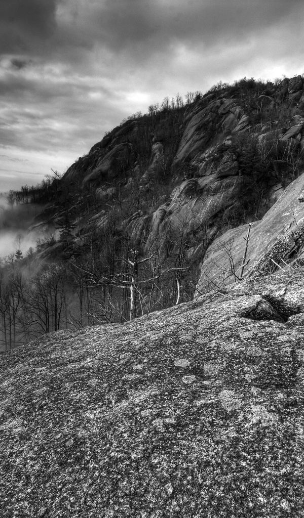 Туман в горах