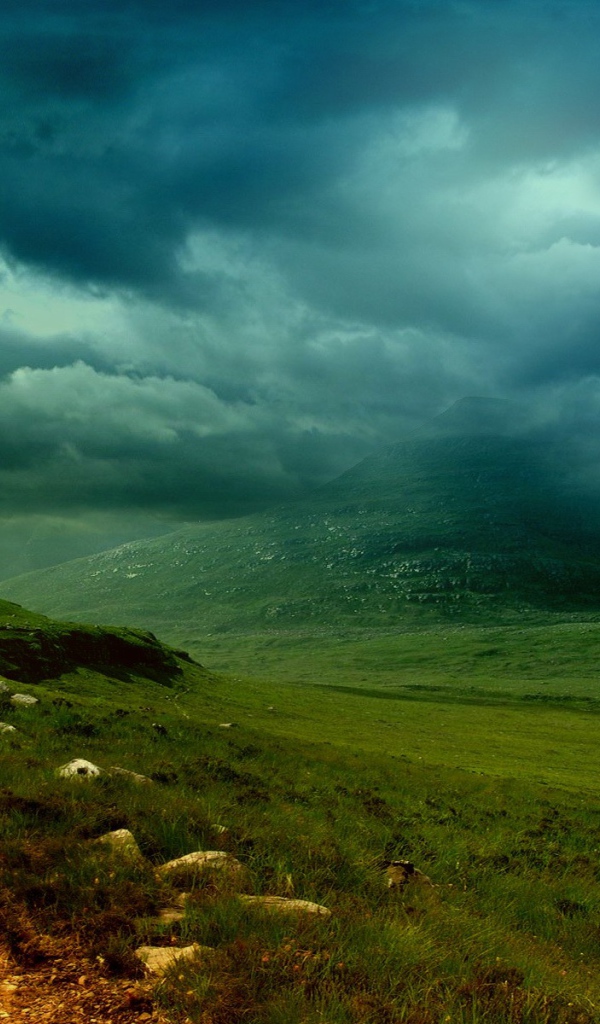 Зеленые холмы