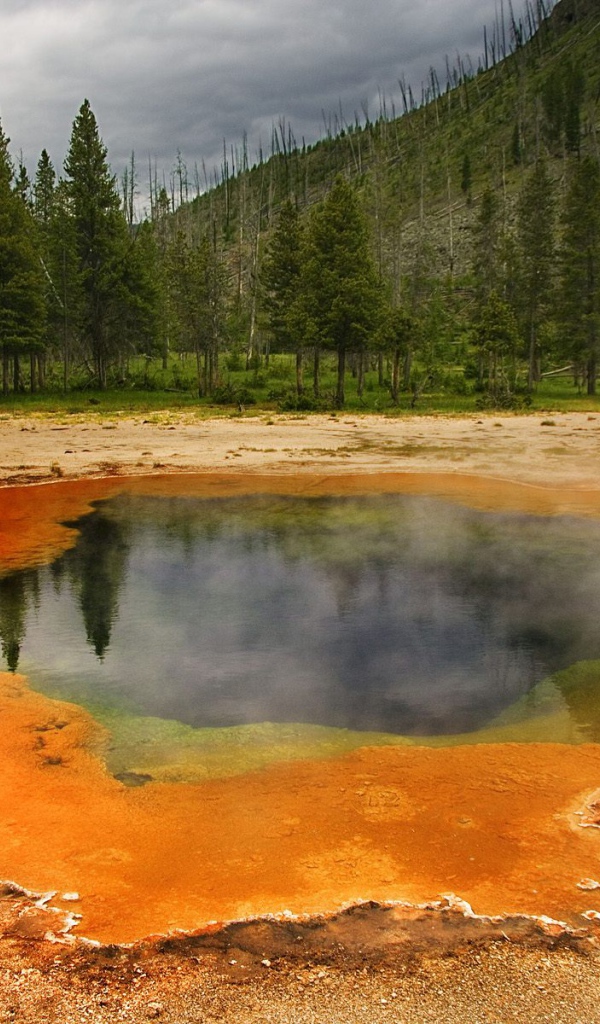 Горячий источник