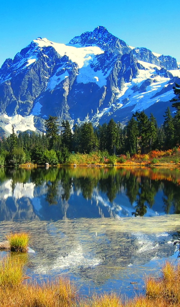 Невероятно красивый вид на горы