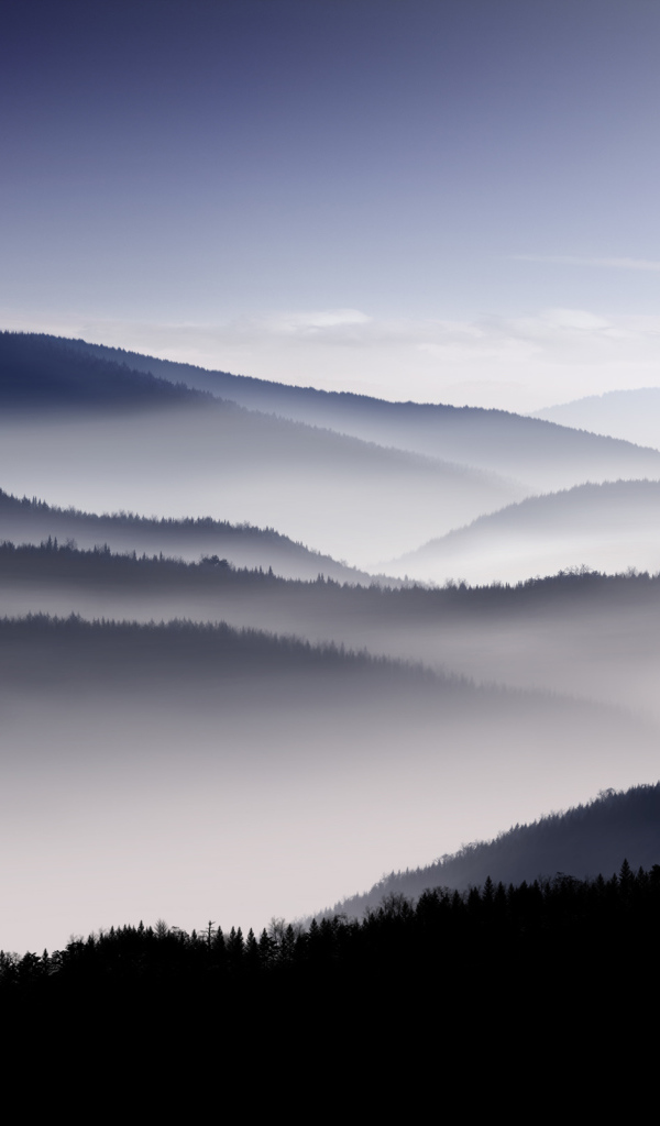 Туманные холмы