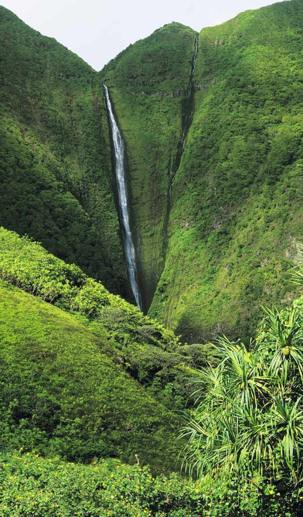 Рай на Земле