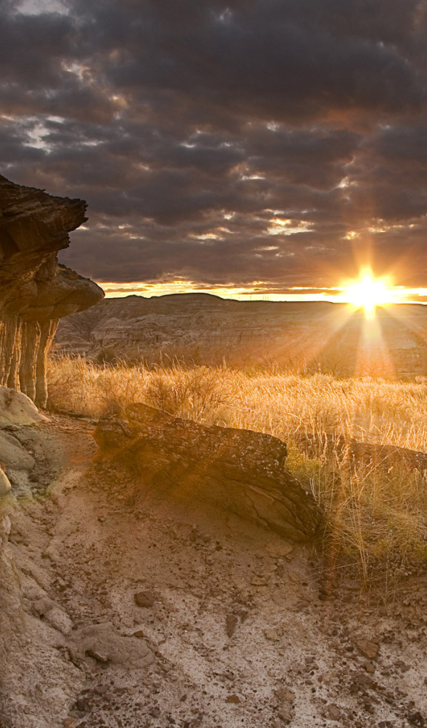 Выветривание горной породы