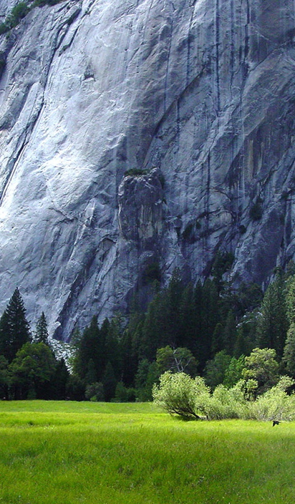 Подножие великих гор