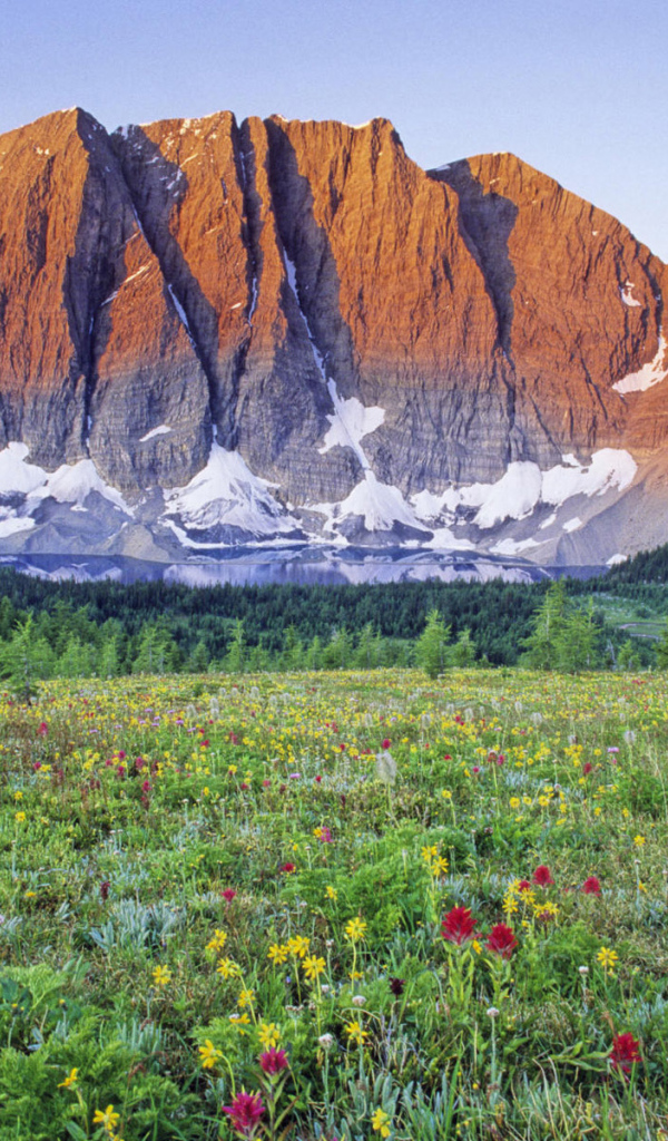 Долина у подножия горы
