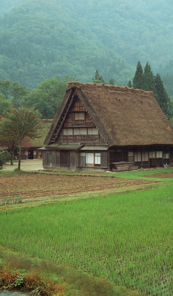 Деревня у подножия гор
