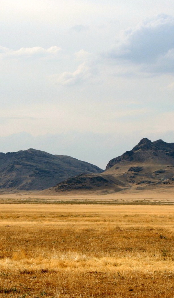 Дикий Запад