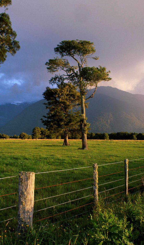 Дело к вечеру