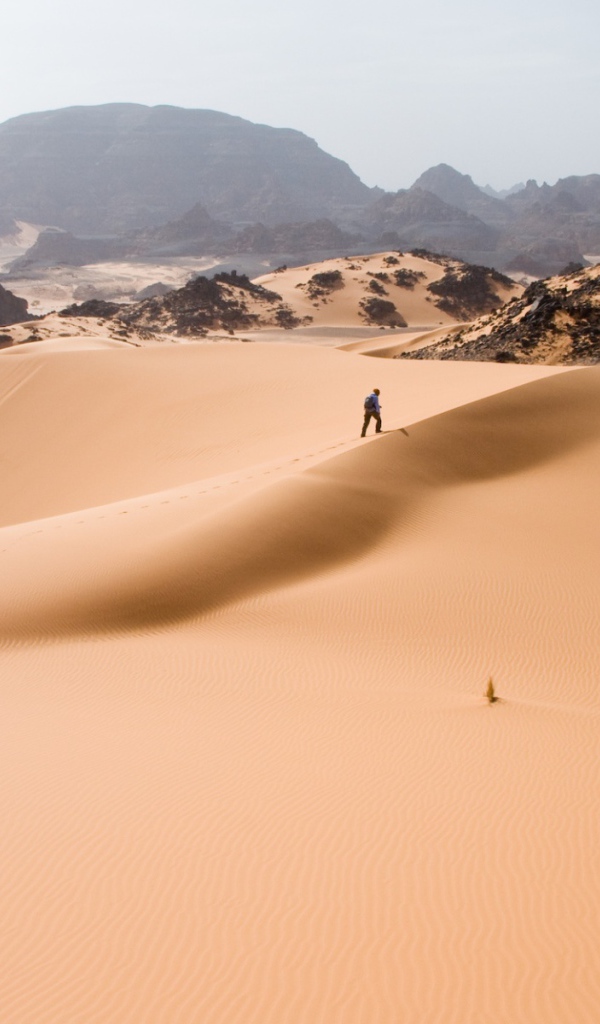 Путешествие по пустыне