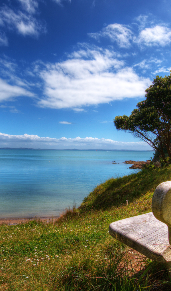 Красивый вид на залив