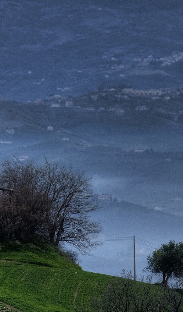 Туманные холмы