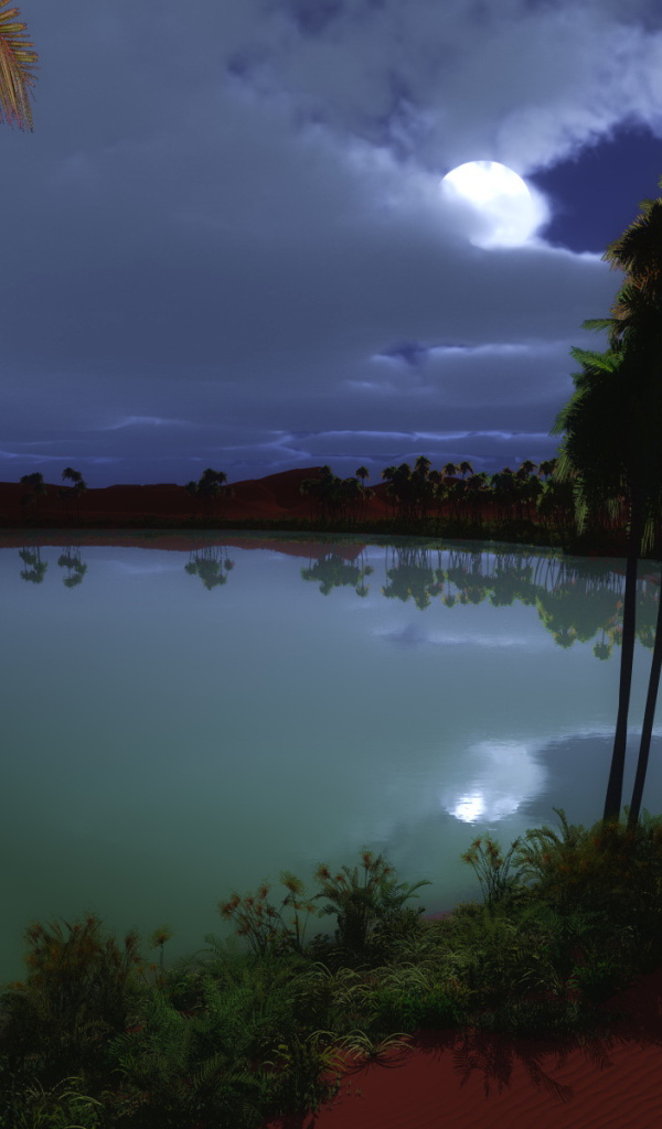 Пустынный оазис