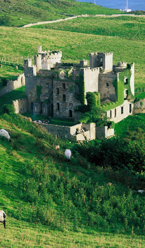 Зеленые холмы