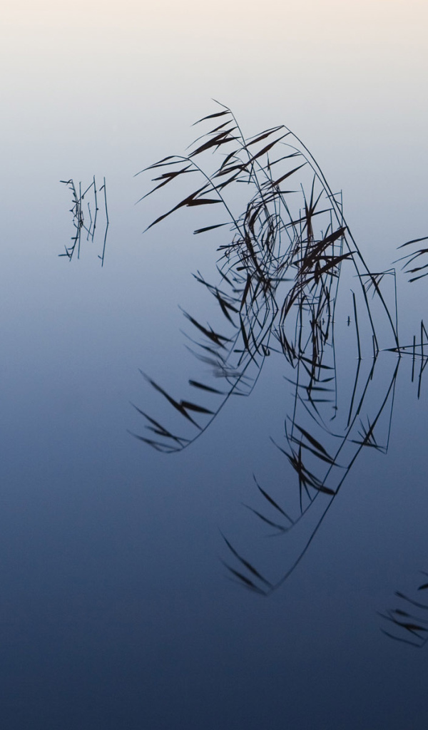 Слияние воды и неба